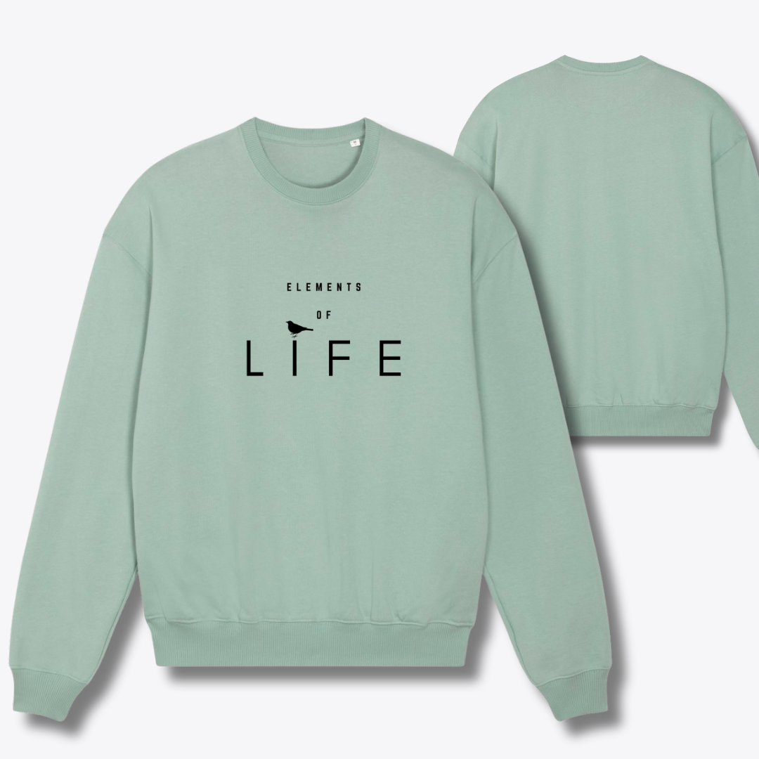 Damen Sweater oversized fit "ELEMENTS OF LIFE"