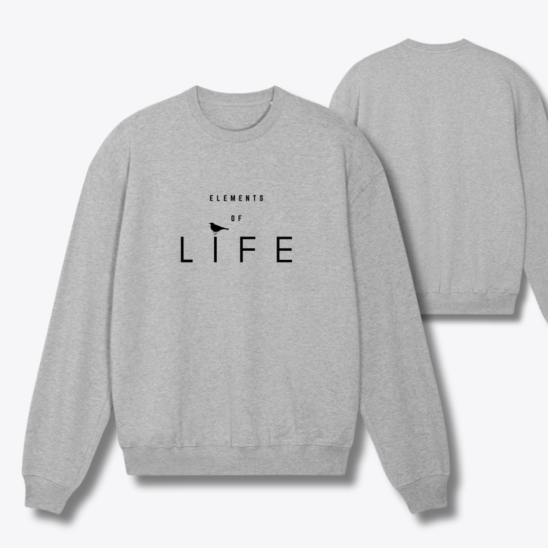 Damen Sweater oversized fit "ELEMENTS OF LIFE"