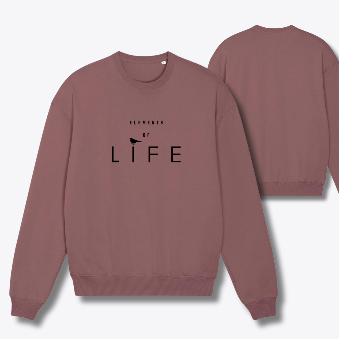 Damen Sweater oversized fit "ELEMENTS OF LIFE"