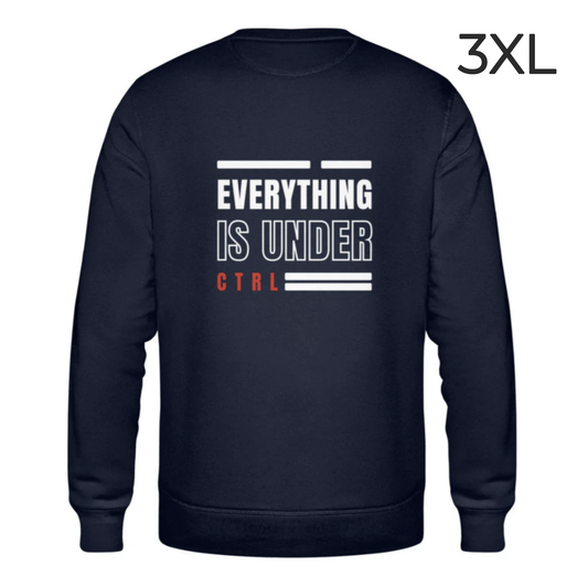 BD-Unisex Sweater "EVERYTHING IS UNDER CONTROL"