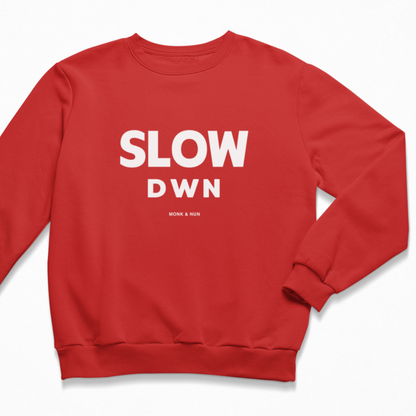 Damen Sweater regular fit "SLOW DOWN"